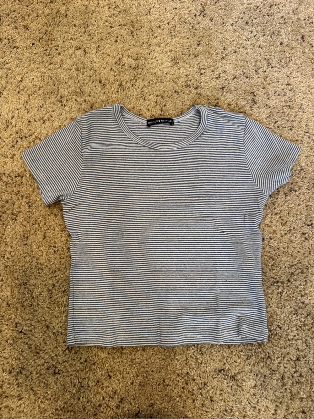 Brandy Melville Blue and White Striped Crew Tee